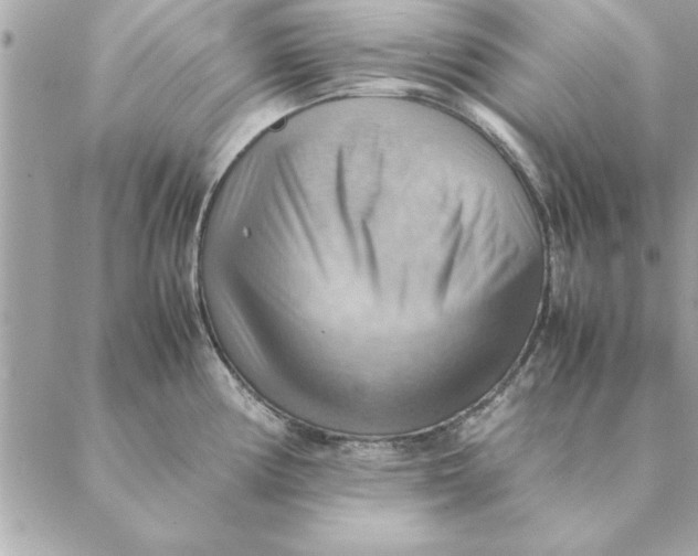 X0000088601194200706151753