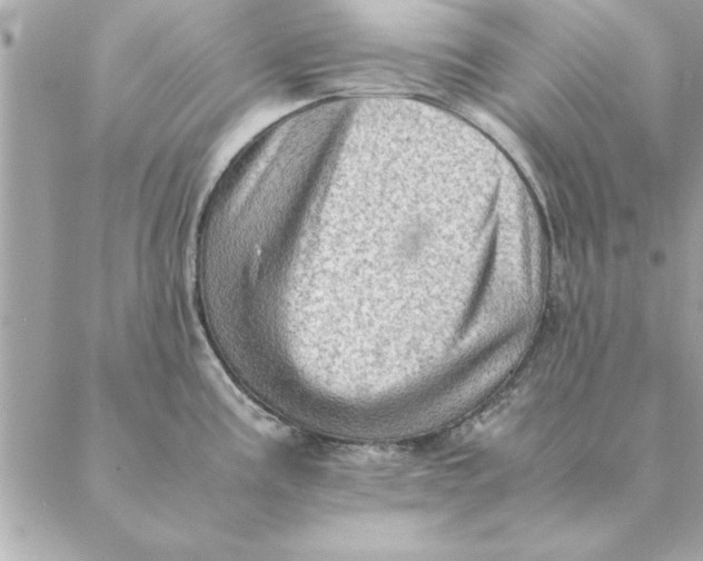 X0000088601195200706151753