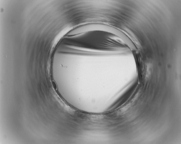 X0000088601196200706151753