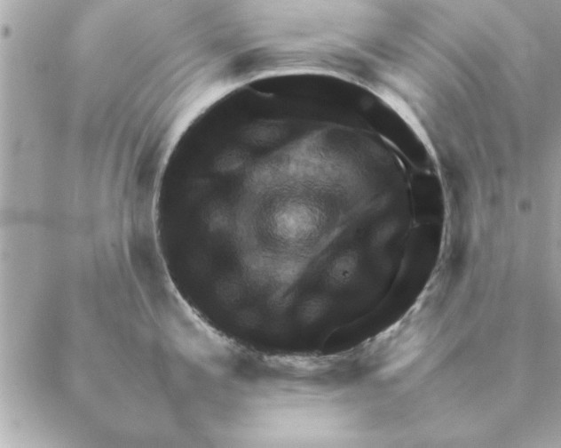 X0000088601197200706151753