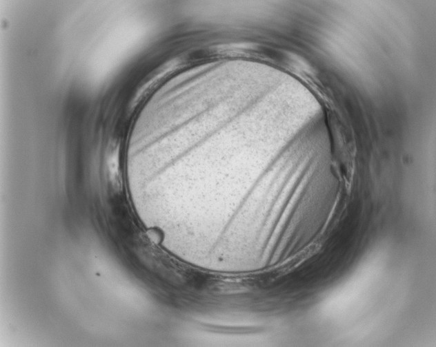 X0000088601198200706151753