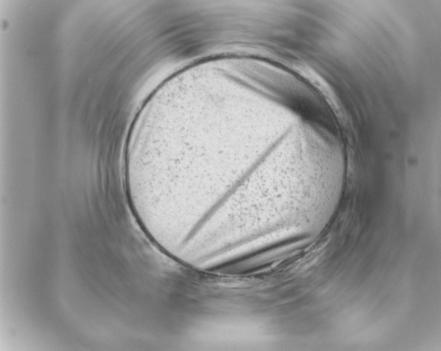 X0000088601199200706151753