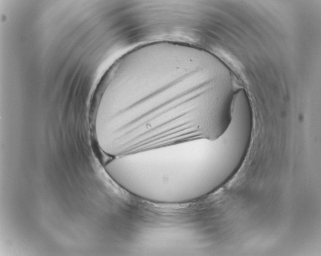 X0000088601200200706151753