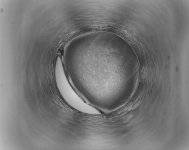 X0000088601202200706151753