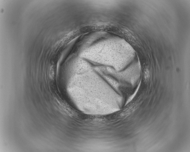 X0000088601204200706151753