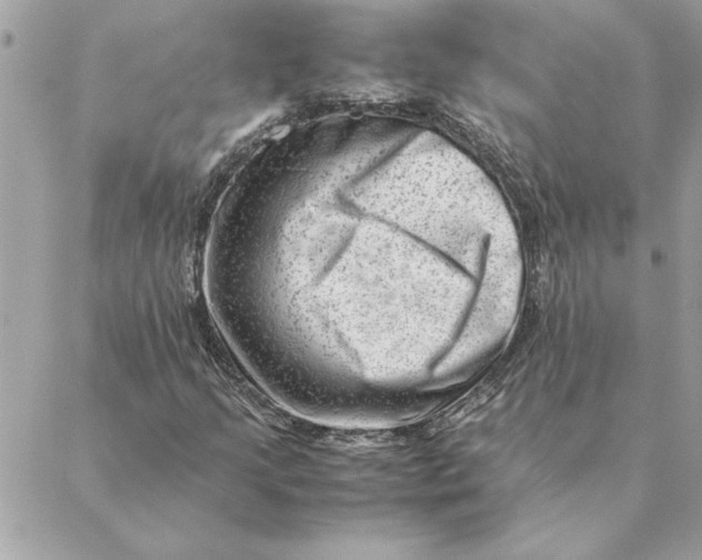 X0000088601205200706151753