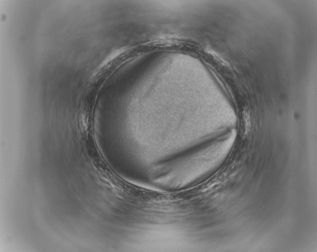 X0000088601206200706151753