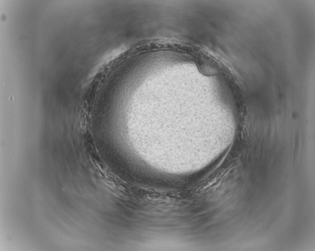 X0000088601207200706151753