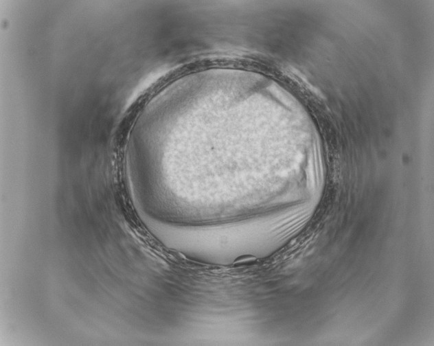 X0000088601208200706151753