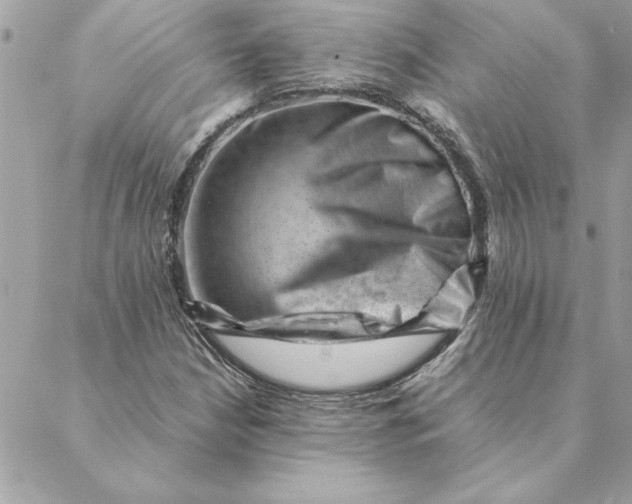 X0000088601210200706151753