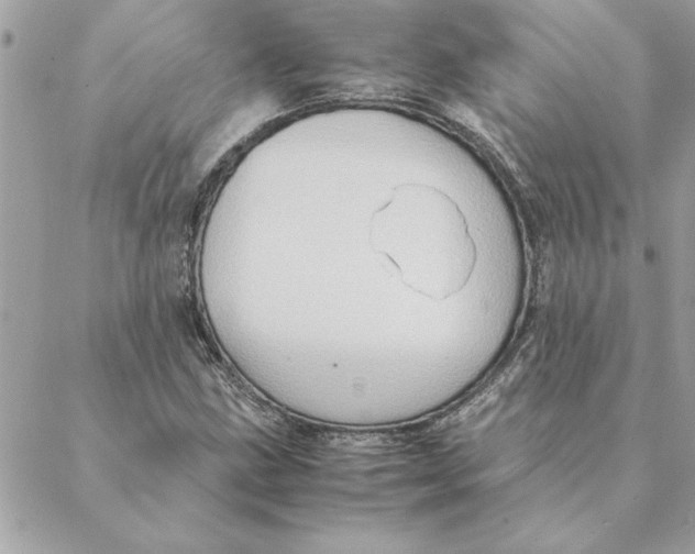 X0000088601211200706151753