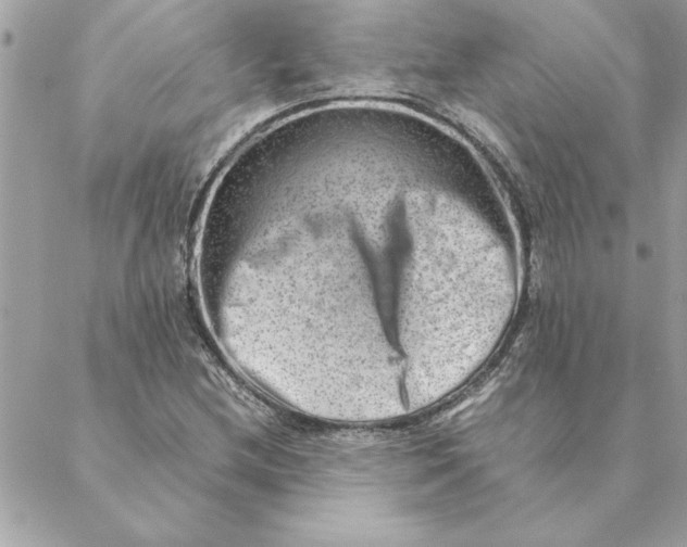 X0000088601212200706151753