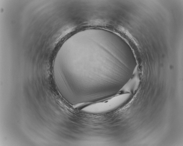 X0000088601213200706151753