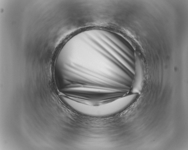 X0000088601214200706151753