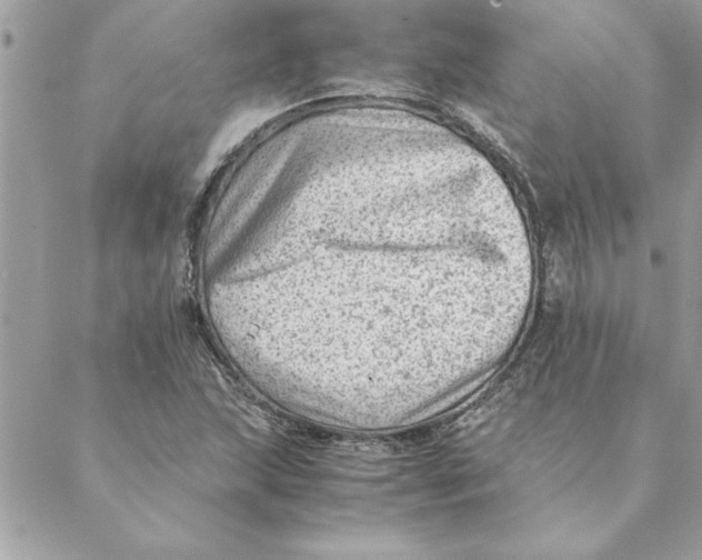 X0000088601215200706151753