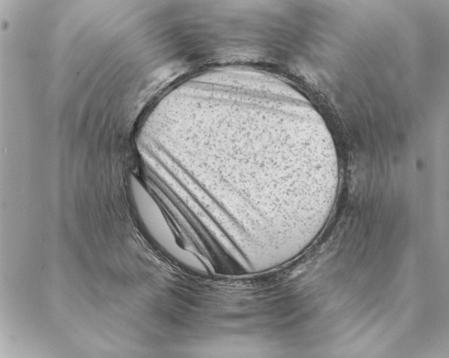 X0000088601217200706151753