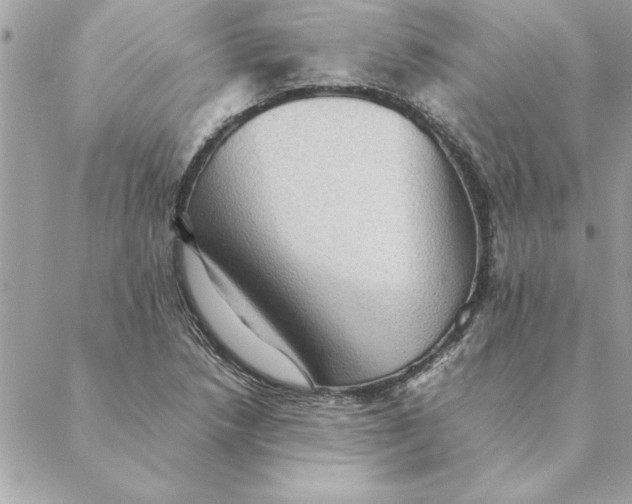 X0000088601218200706151753