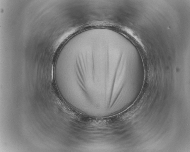 X0000088601221200706151753