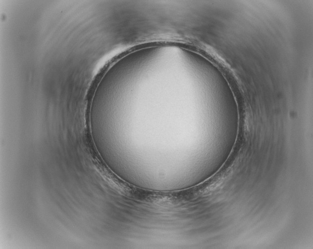 X0000088601222200706151753