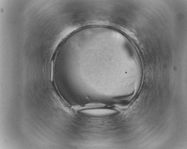 X0000088601223200706151753