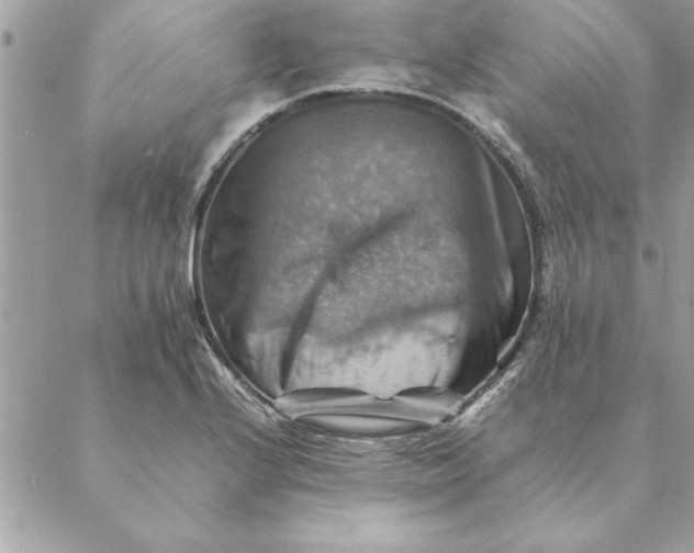 X0000088601224200706151753