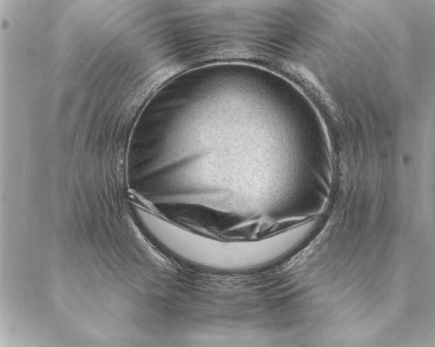 X0000088601225200706151753