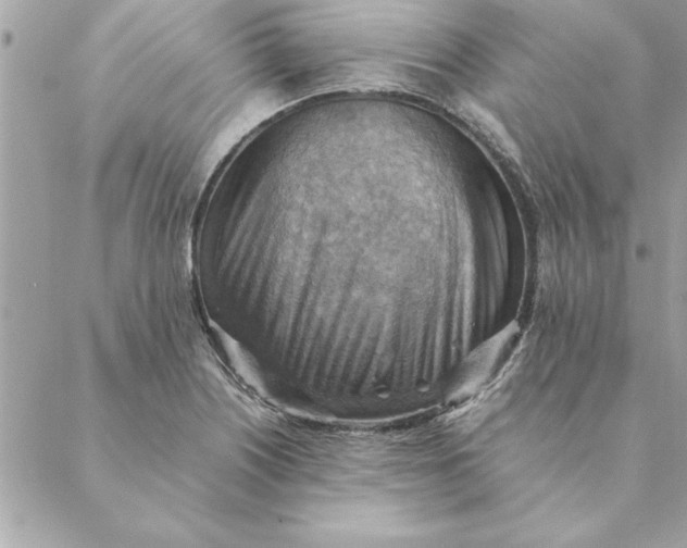 X0000088601226200706151753