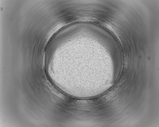 X0000088601227200706151753