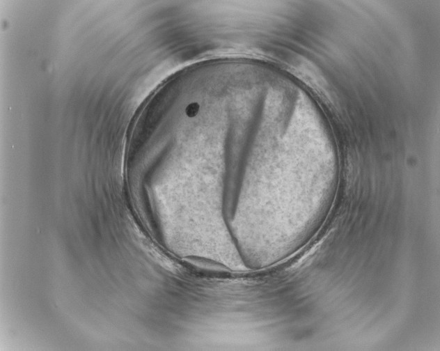 X0000088601228200706151753