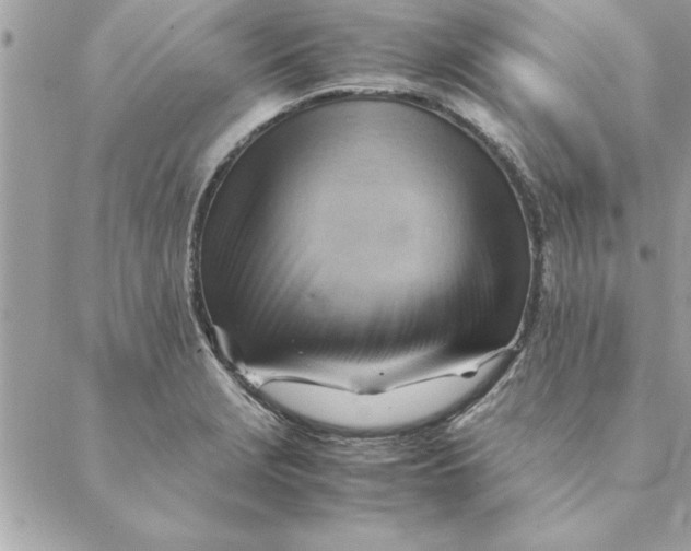 X0000088601229200706151753