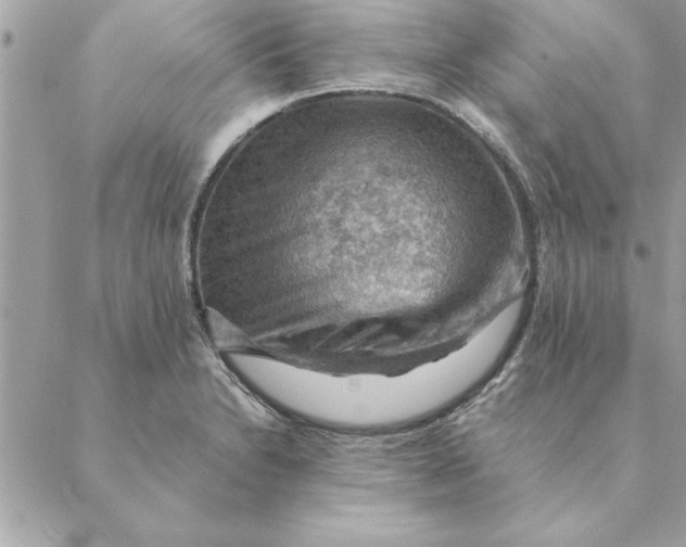 X0000088601230200706151753