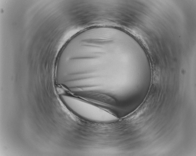 X0000088601231200706151753