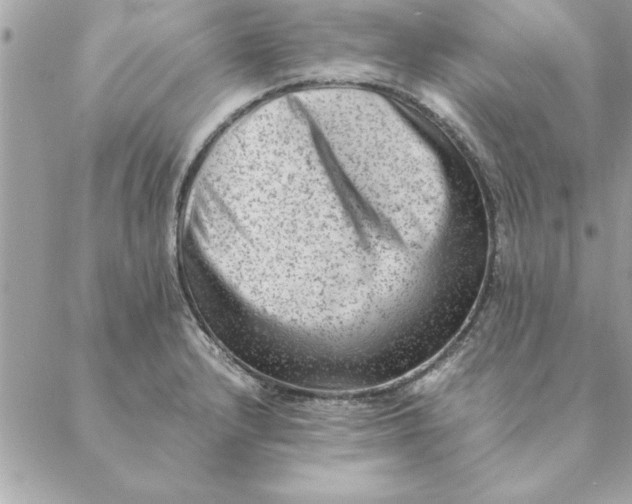 X0000088601232200706151753