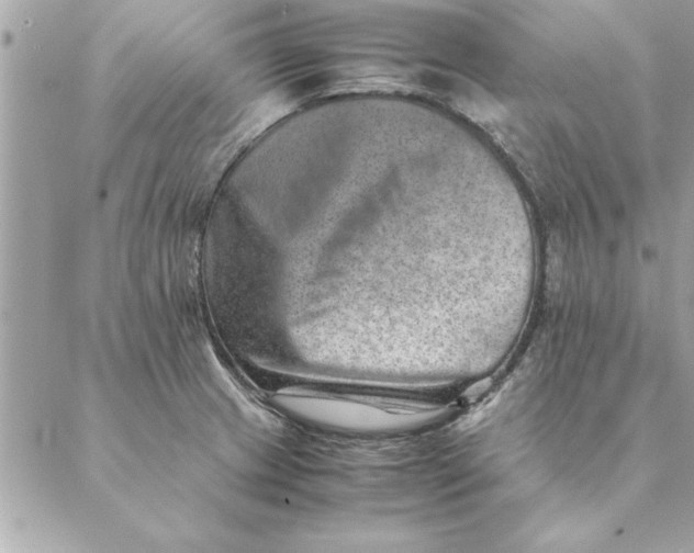 X0000088601233200706151753