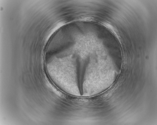 X0000088601235200706151753