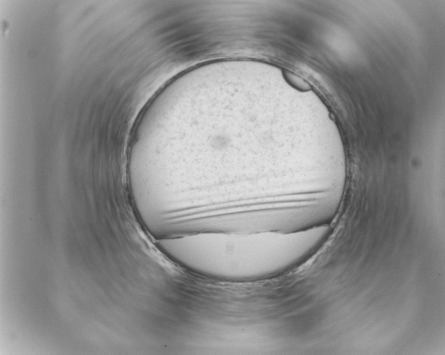 X0000088601236200706151753