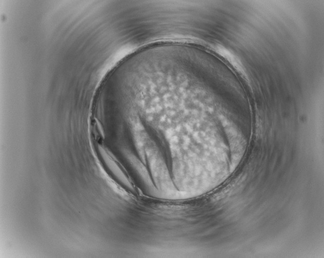 X0000088601237200706151753