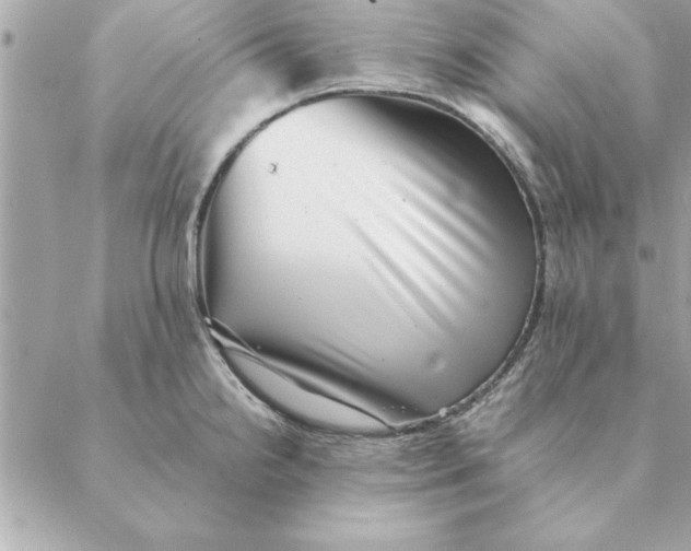 X0000088601238200706151753