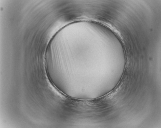 X0000088601239200706151753