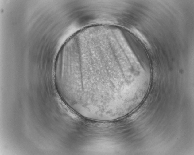 X0000088601240200706151753