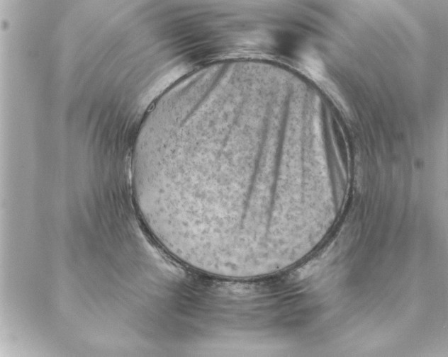 X0000088601241200706151753