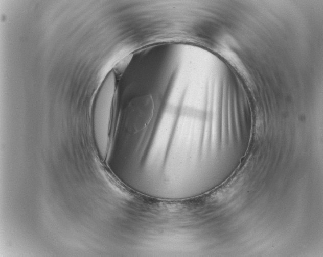 X0000088601242200706151753