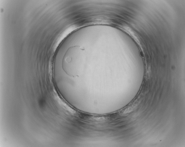 X0000088601243200706151753