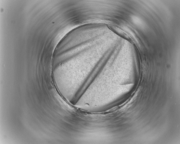 X0000088601244200706151753