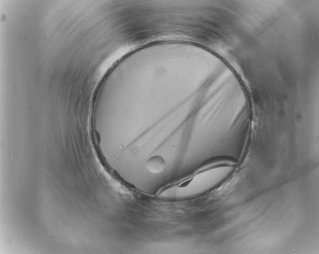 X0000088601245200706151753