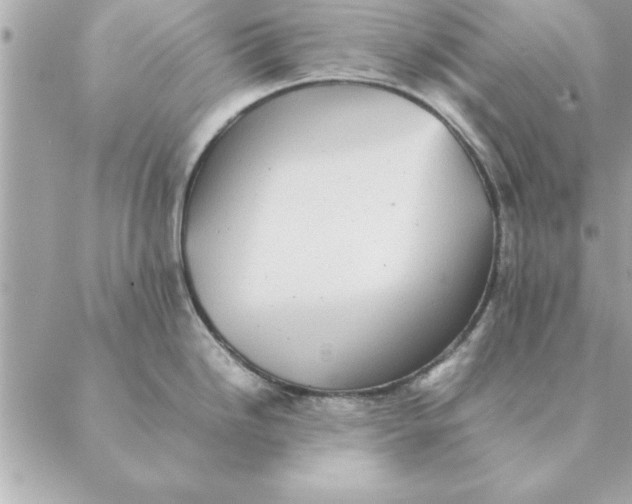 X0000088601246200706151753