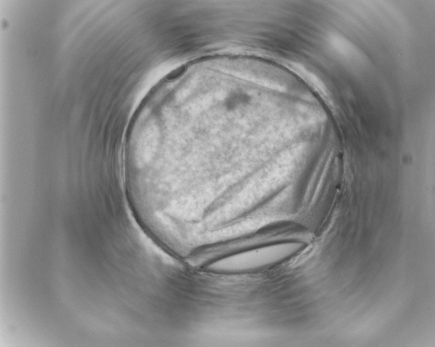 X0000088601247200706151753