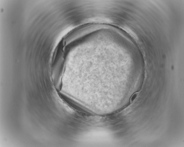 X0000088601248200706151753