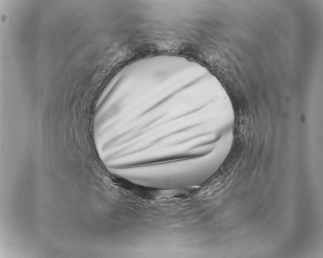 X0000088601249200706151753