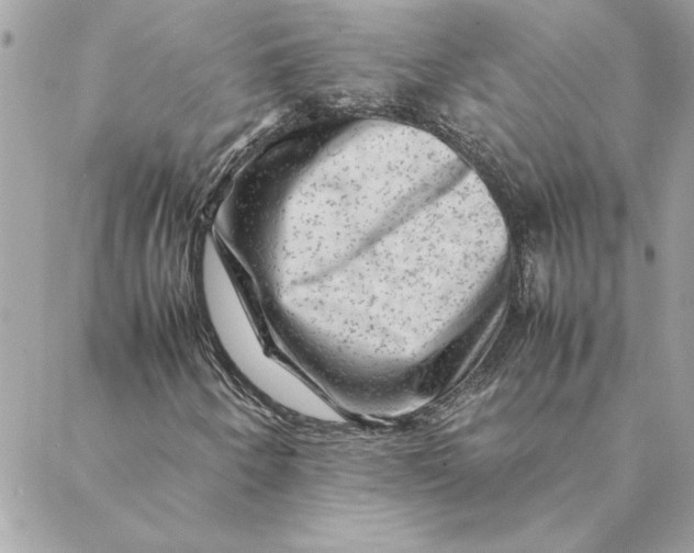 X0000088601250200706151753